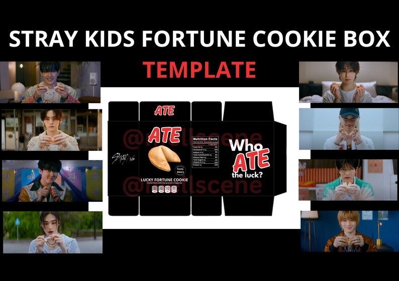 STRAY KIDS Fortune Cookie Box TEMPLATE Skz Template Stray Kids