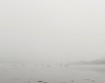 Dittisham Fog