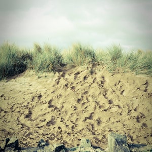 Sand Dunes image 1