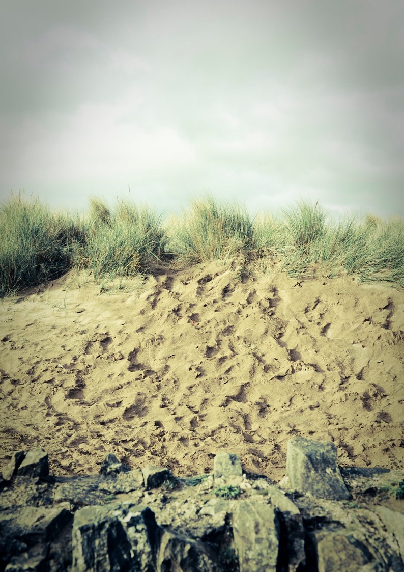 Sand Dunes image 1