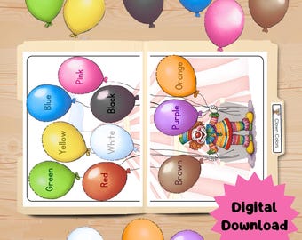 Color Matching Game: Preschool Learning Activity | File Folder Game (Digital Download)