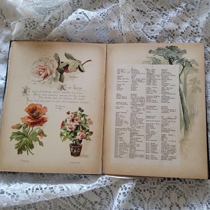 C1880 Language of Flowers Book E the Gilded Age Artistic Etsy
