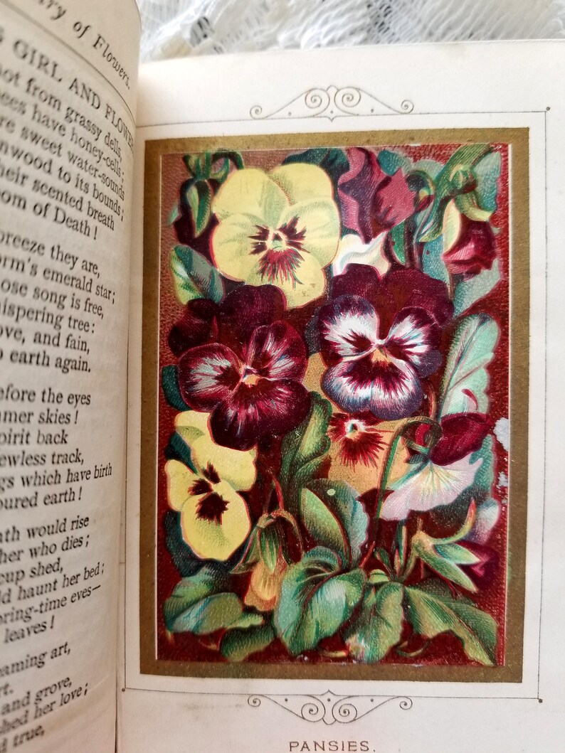 C1877 Language and Poetry Flowers Book with Floral Etsy