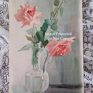 Antique Roses Print OLD Rhoda Holmes Nicholls A449 C1903 ...