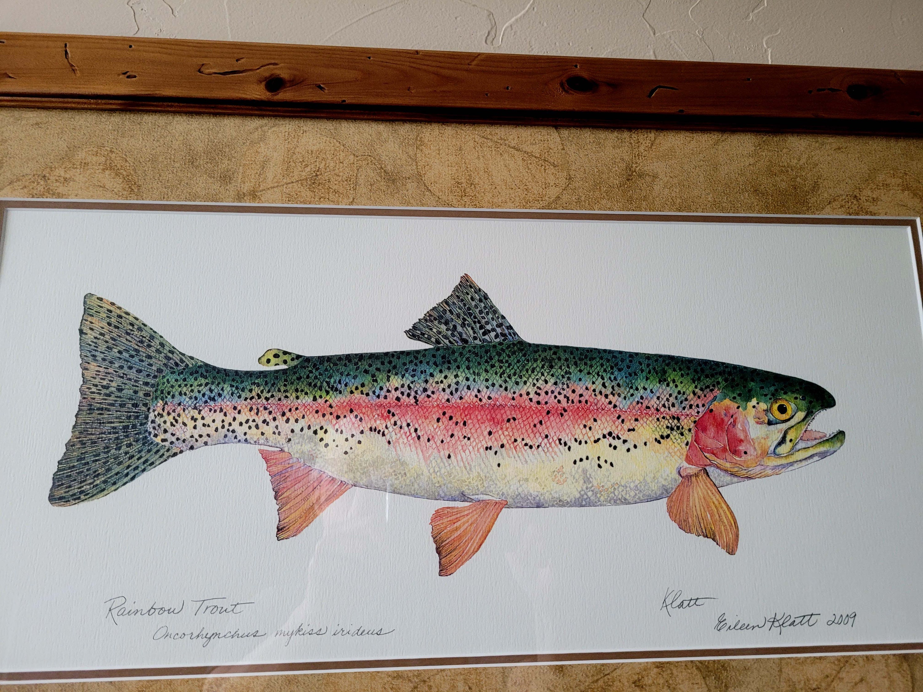 絵画 Eileen Klatt Rainbow Trout 1993 絵画 Eileen Klatt Rainbow Trout 1993 Klatt Rainbow/Rainbow