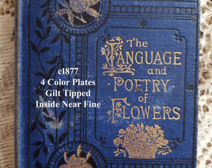 C1877 Language and Poetry Flowers Book With Floral Illuminations 4