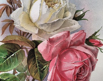 Antique Print Paul de Longpre Pink White Roses Near Fine deL2000d | Original Chromolithograph Listed Artist | Floral Flower Artwork