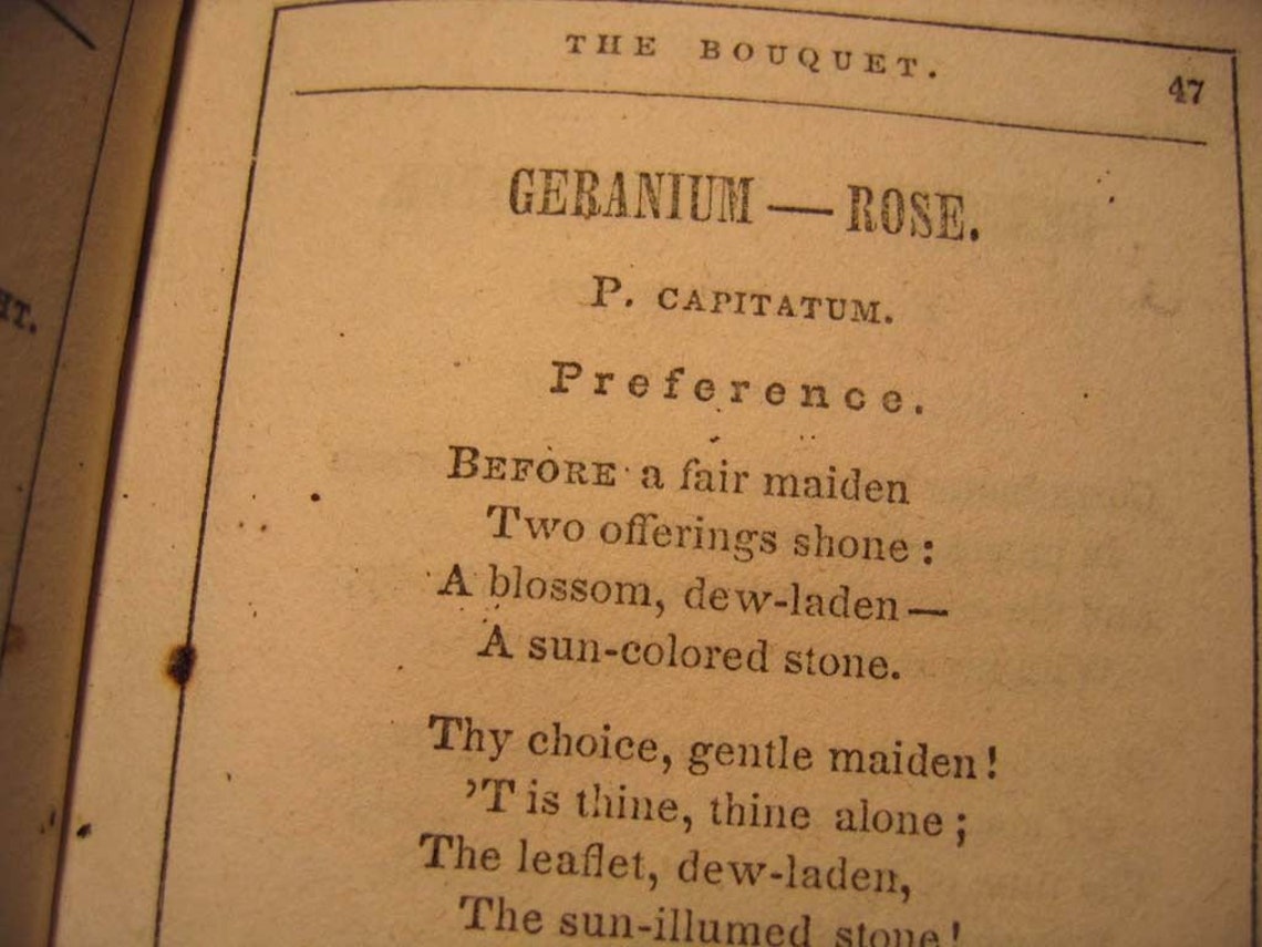 C1846 Language Poetry of Flowers Book the Bouquet E1210 Etsy