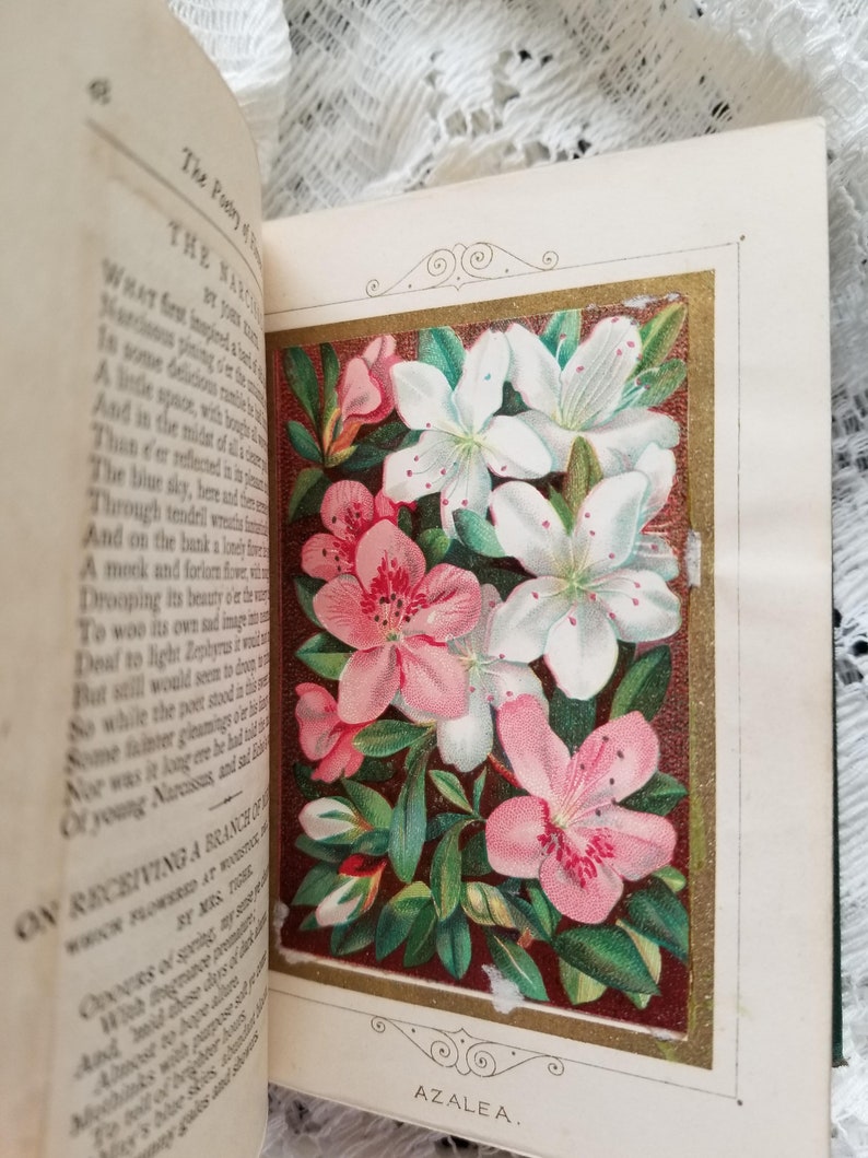 C1877 Language and Poetry Flowers Book with Floral Etsy