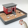 Chicken Zen Garden - Desk Accessory Sand Garden DIY Kit Gifts for Him Her Office Decor Fidget Fun Therapy