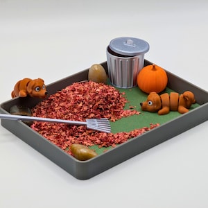 Fall Zen Garden - Funny Desk Accessory Garden DIY Kit Gifts for Him Her Office Decor Fun Therapy
