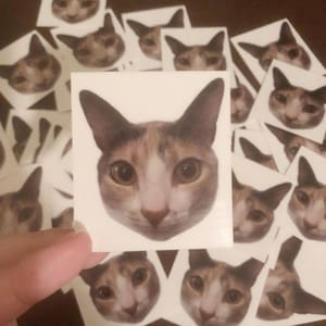 Pet Temporary Tattoos, Pet Birthday Gifts, Custom Dog Temporary Tattoos, Custom Cat Temporary Tattoos, Fur Baby, Dog Birthday, Cat Birthday