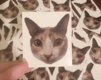 Pet Temporary Tattoos, Pet Birthday Gifts, Custom Dog Temporary Tattoos, Custom Cat Temporary Tattoos, Fur Baby, Dog Birthday, Cat Birthday