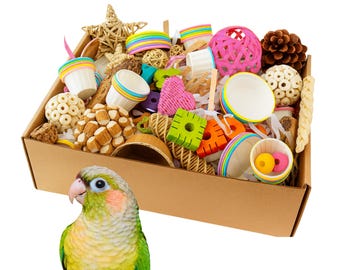 FORAGING BOX | Eclectic mix of colorful papers, shredders & bird toys