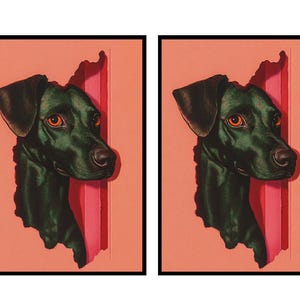 Fundas para cartas MTG, fundas para cartas de perros, fundas para cartas de animales, protectores de fundas para cartas, accesorios MTG