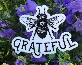 Bee Grateful/Decal/Laptop Decal/Bee Sticker/Grateful/Bee/Die-Cut/Vinyl Sticker/Save the Bees/Bee Keeping/Gift for Bee Lover/Bumper Sticker