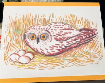 Mama Owl Card: Illustrated Blank Note Card with Envelope
