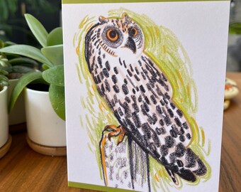 Illustrated Owl Card: Colorful Bird Art, Blank Note Card