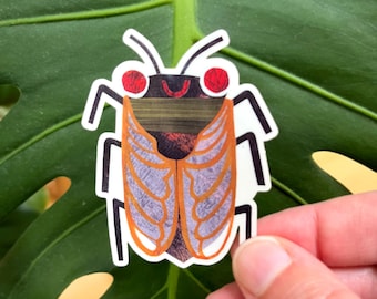 Cicada Insect Vinyl Sticker: UV Resistant Laptop Decal