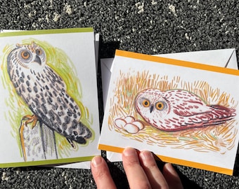 Owl Illustration Cards: Colorful Bird Art, Blank Note Cards