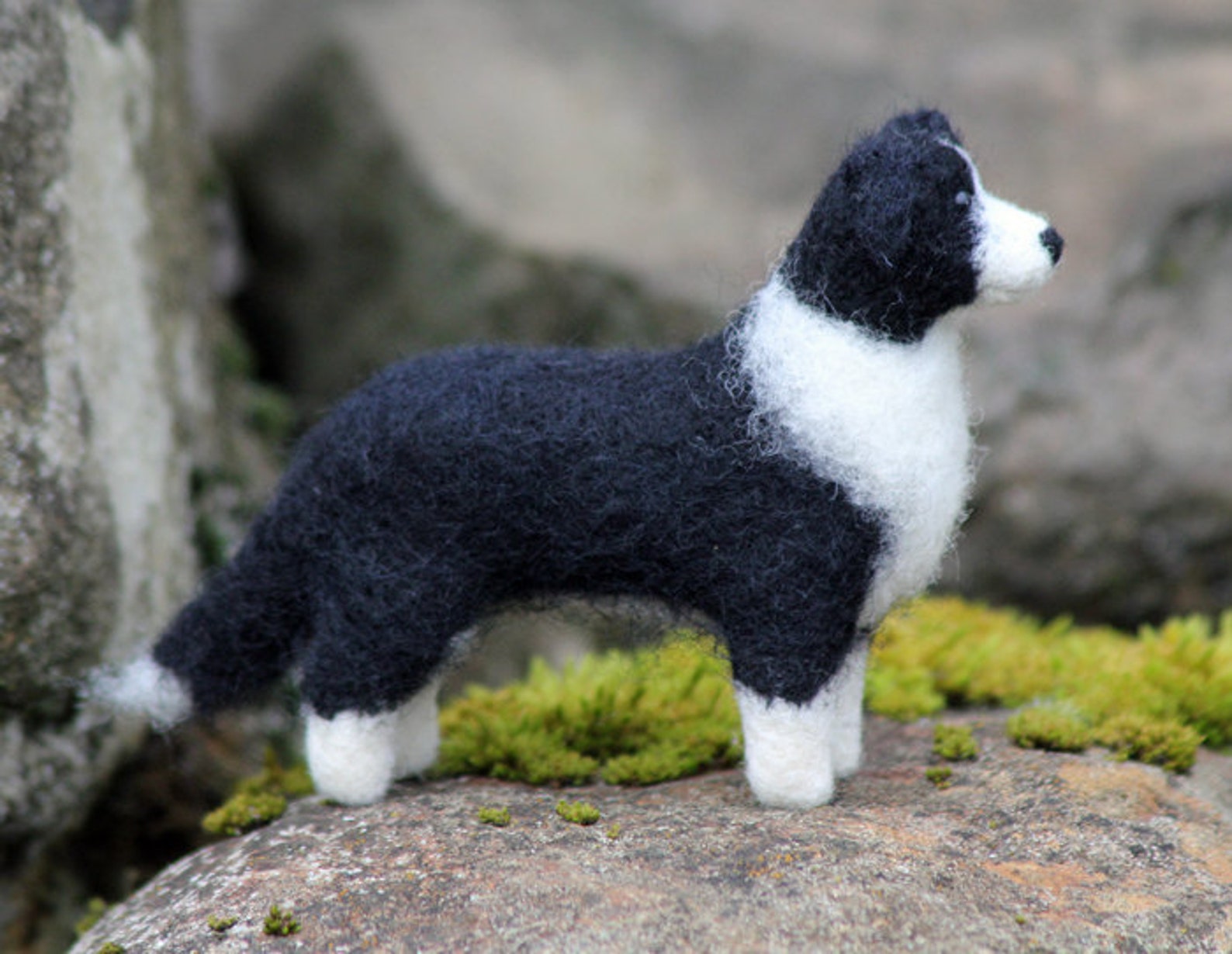Dog Needle Felting Kit Border Collie Etsy