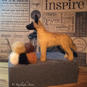 Dog Needle Felting Kit - Belgian Malinois