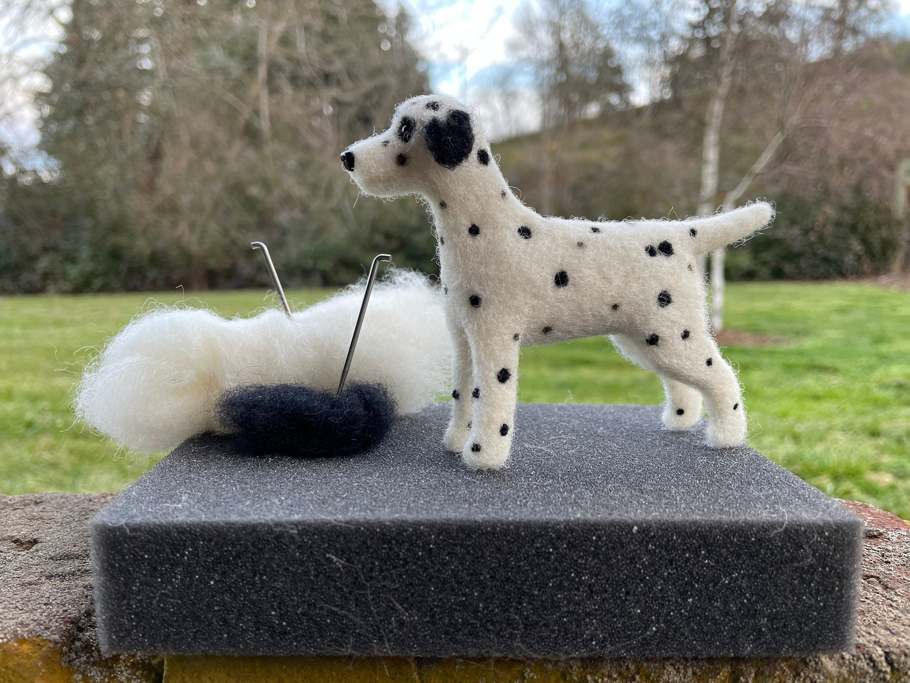 Dog Needle Felting Kit Dalmatian - Etsy