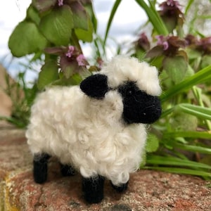 Curly Sheep Needle Felting Kit - Sale!