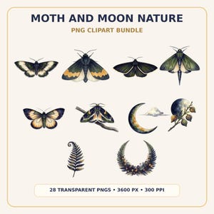 Moth and Moon Clipart Bundle preview image 1