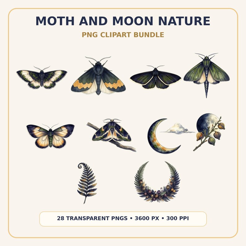 Moth and Moon Clipart Bundle preview image 1