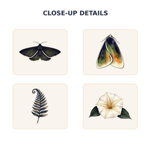 Moth and Moon Clipart Bundle preview image 6