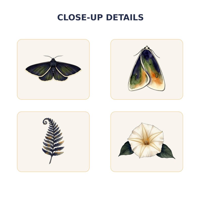 Moth and Moon Clipart Bundle preview image 6