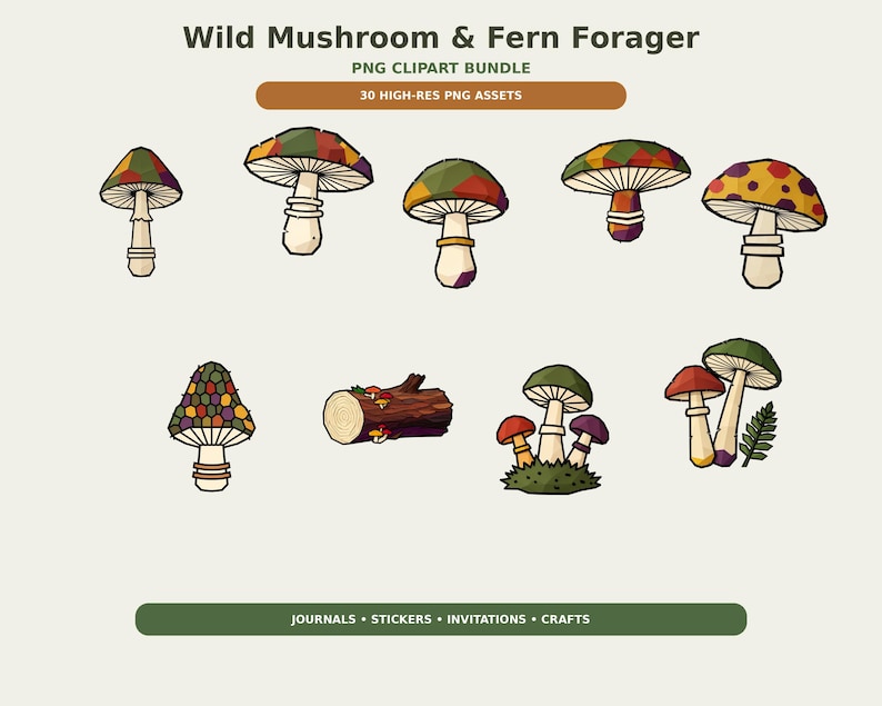 Wild Mushroom and Fern Forager Clipart preview image 1