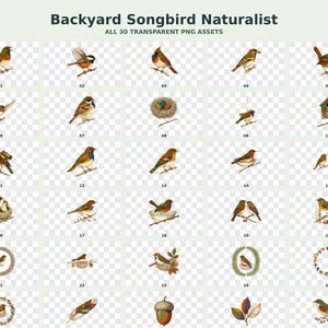 Backyard Songbird Naturalist Clipart preview 3