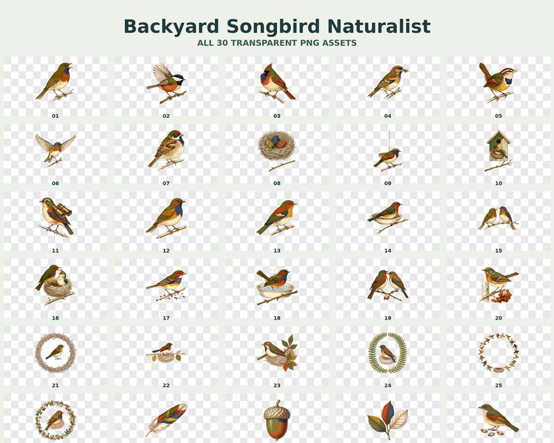 Backyard Songbird Naturalist Clipart preview 3