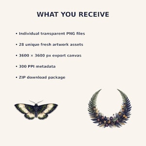 Moth and Moon Clipart Bundle preview image 3