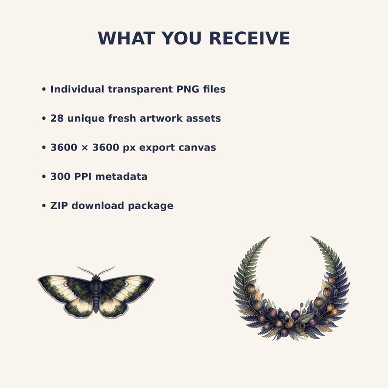 Moth and Moon Clipart Bundle preview image 3