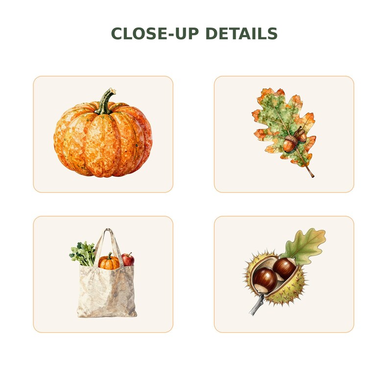 Autumn Farmers Market Clipart Bundle preview image 6