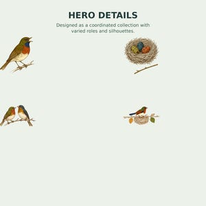 Backyard Songbird Naturalist Clipart preview 5