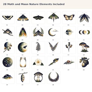 Moth and Moon Clipart Bundle preview image 2