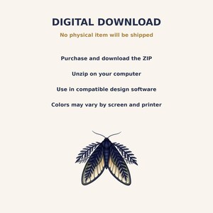 Moth and Moon Clipart Bundle preview image 5