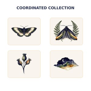 Moth and Moon Clipart Bundle preview image 7