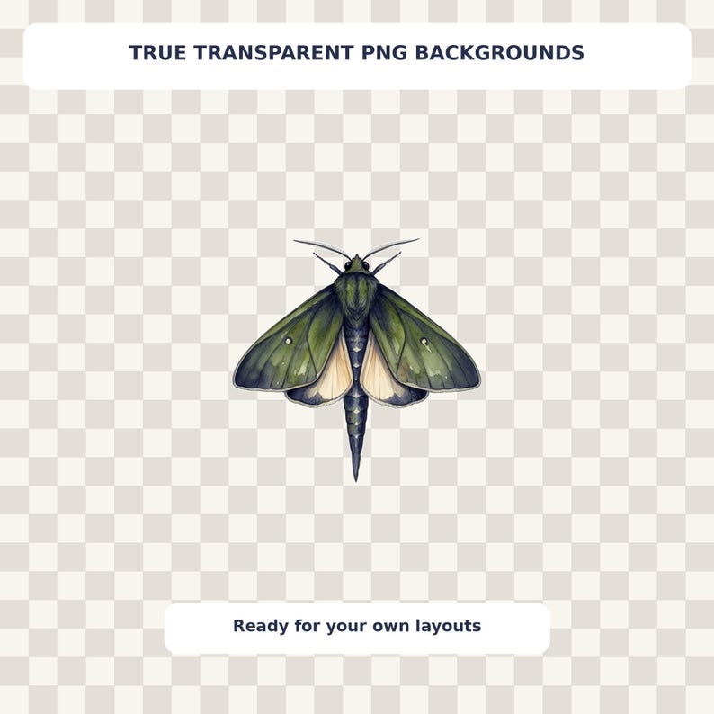 Moth and Moon Clipart Bundle preview image 8