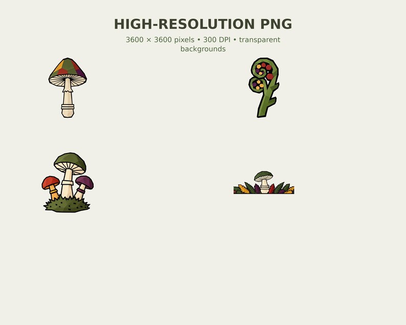 Wild Mushroom and Fern Forager Clipart preview 4