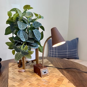 May include: A desk lamp with a brown conical shade, a flexible metallic neck, and a rectangular wooden base featuring a silver plate with the text "benson" and a black power switch. The lamp is illuminated and emits a warm light.