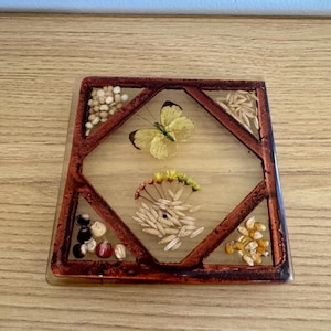 May include: Square coaster with a brown frame and a clear resin top. The coaster features a yellow butterfly and various seeds and grains. The frame is a dark reddish-brown color. The coaster is on a wooden surface.