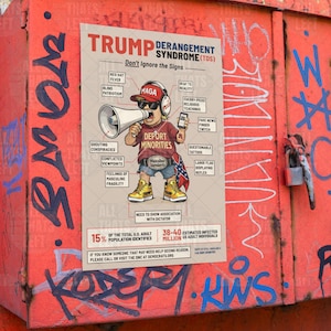 TDS Trump Derangement Syndrome Symptomen print poster geelbruin | Karikatuur satire kunst aan de muur, anti-troefcadeau voor liberalen, grappig politiek cadeau afbeelding 5