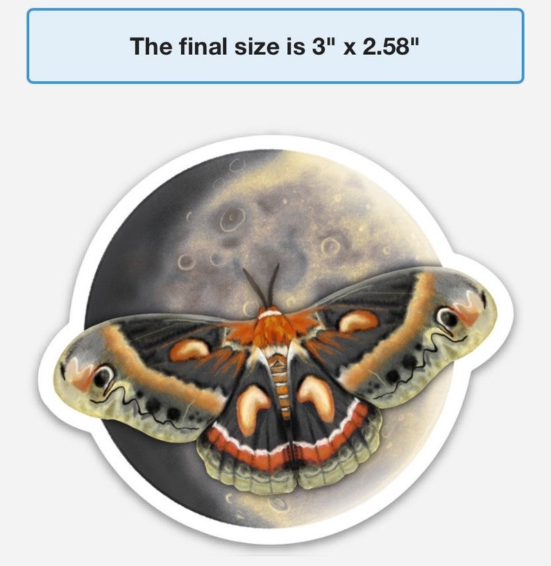 Moon Moth Sticker Cecropia Moth and Moon Sticker - Etsy