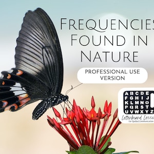 Nature Frequencies Letterboard Lesson: Spelled Communication (Professional Use) (PDF)