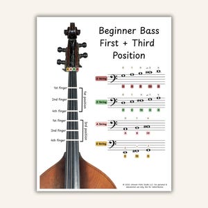 Beginner Double Bass First + Third Position Fingering Chart (Digital Printable)